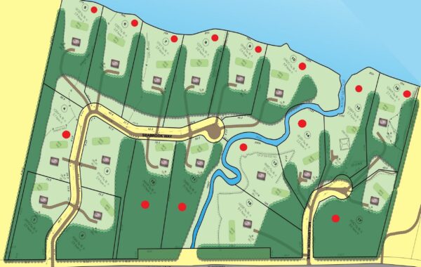 Development Plan