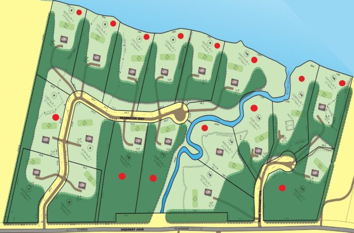 Development Plan