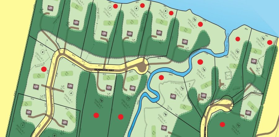 Development Plan